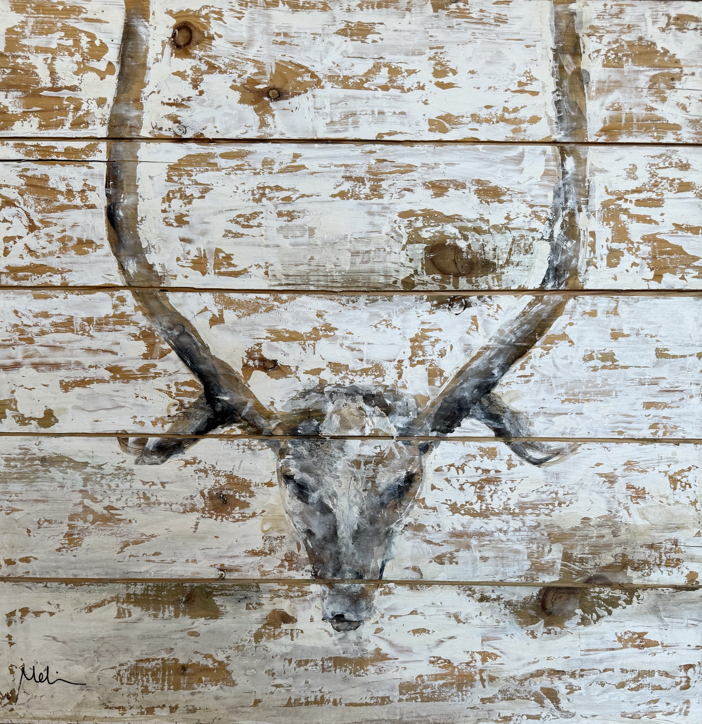 Quiet Antlers