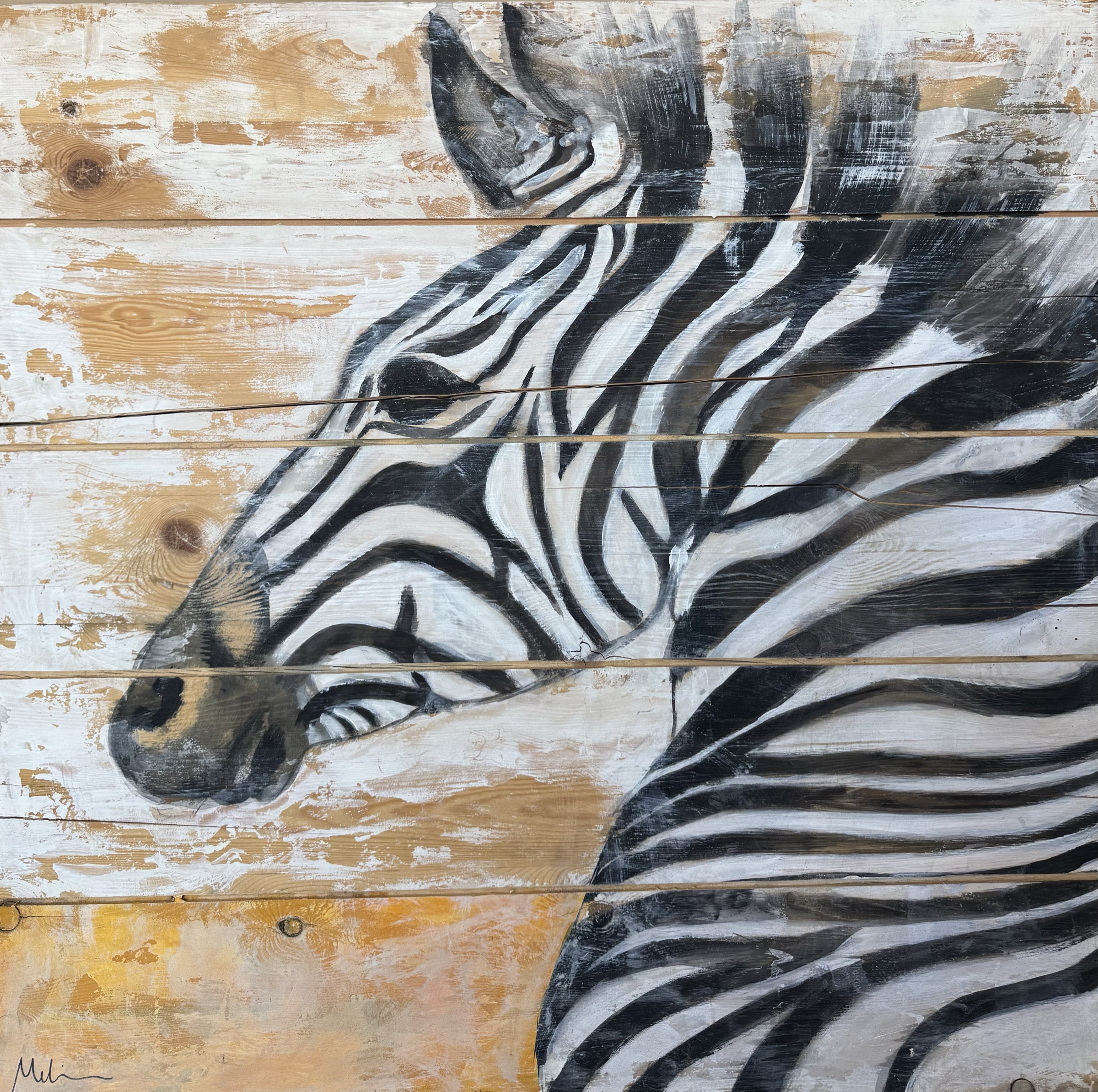 Zebra in Profile