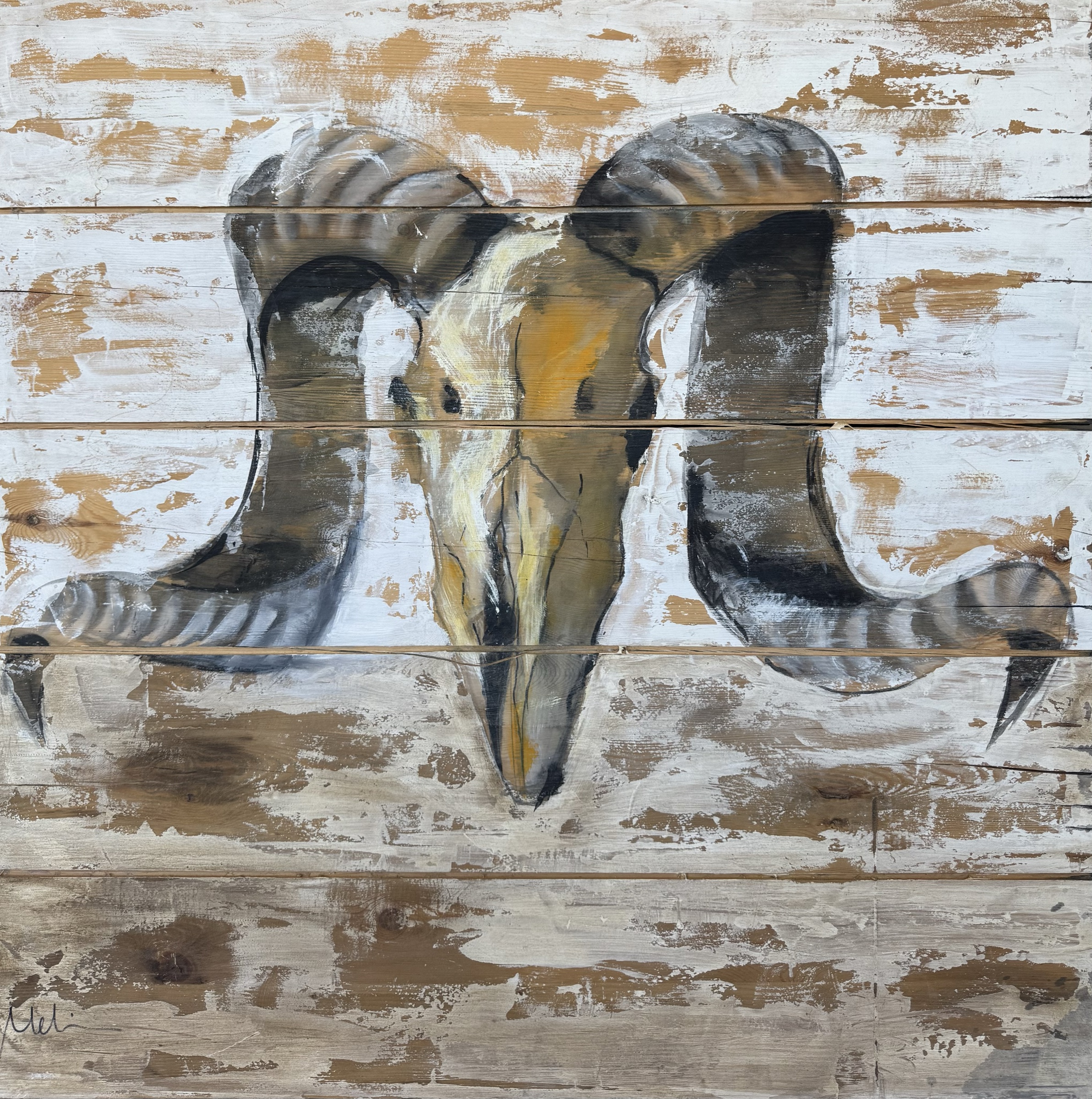 Ram Study