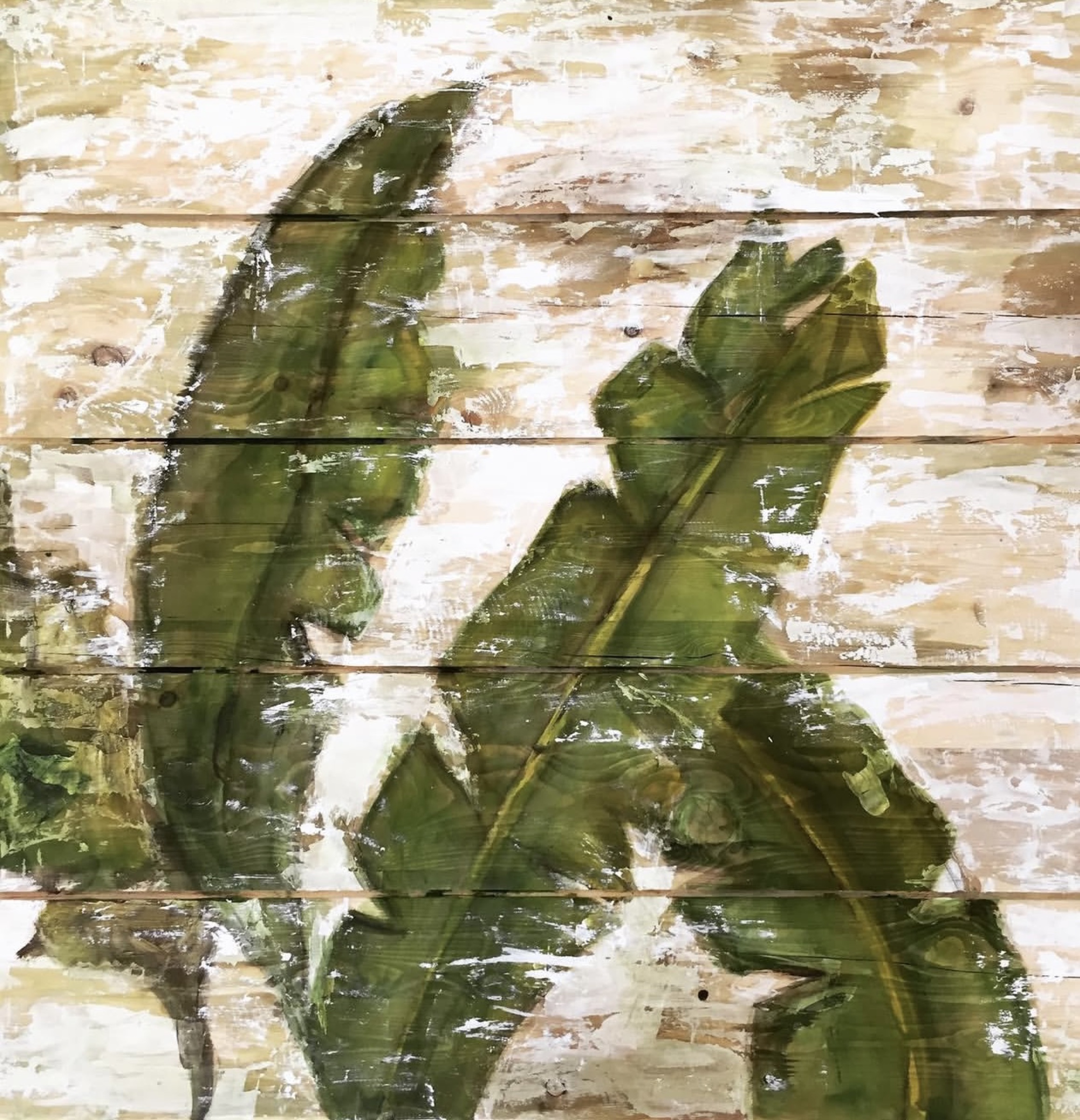 Twin Leaves