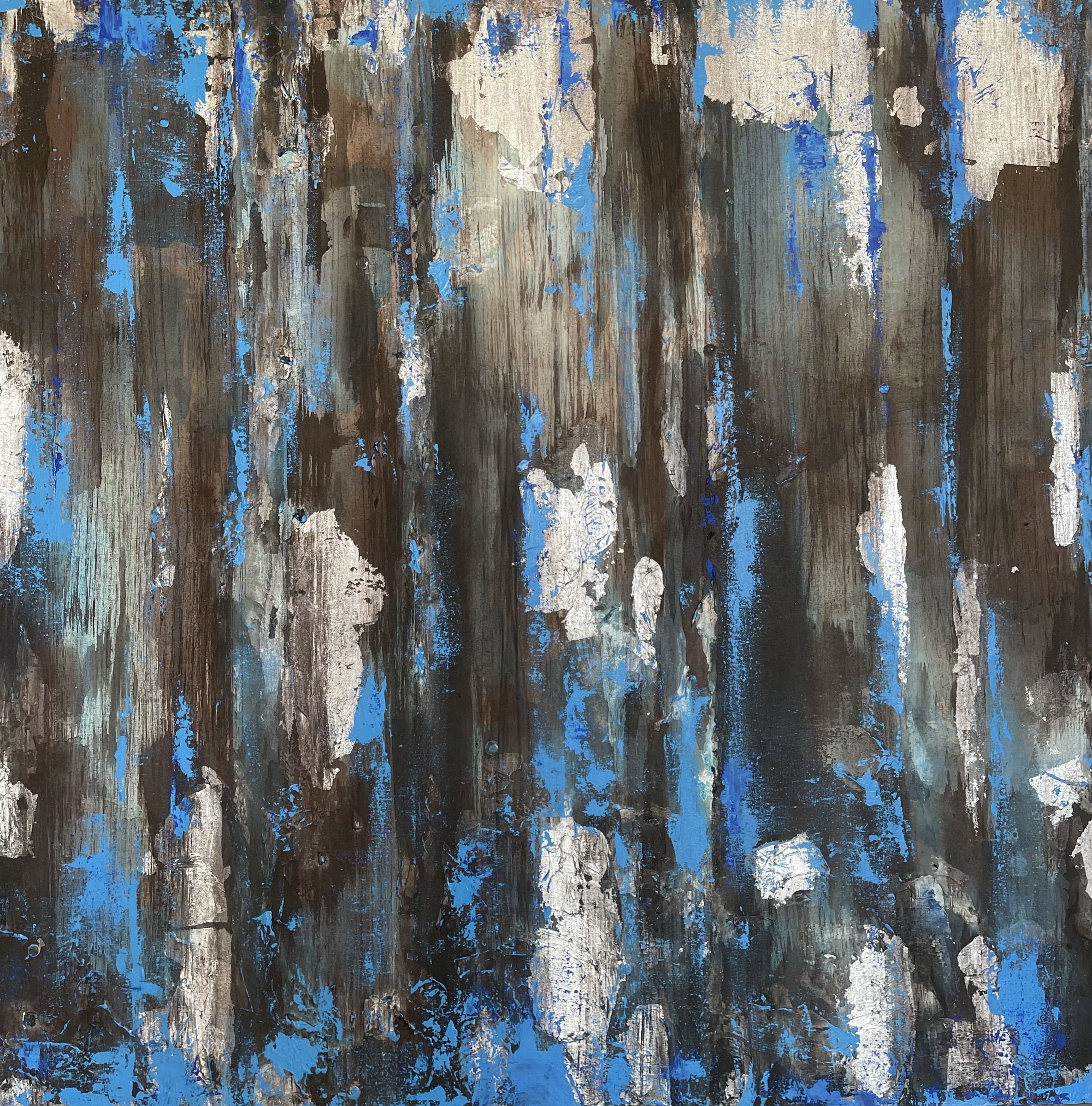 Blue Ravine